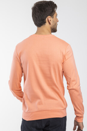 Twenty3  Erkek Bisiklet Yaka Slim fit  Sweatshirt 